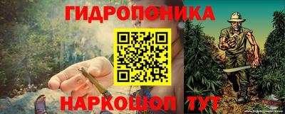 шишки Малоярославец