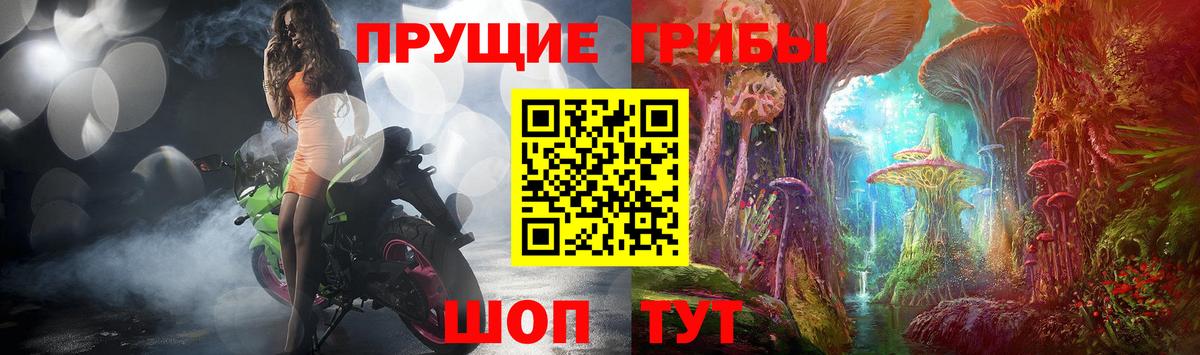 Псилоцибиновые грибы ЛСД  купить наркотик  Вход с VPN  Гудермес  Псилоцибиновые грибы Psilocybe 